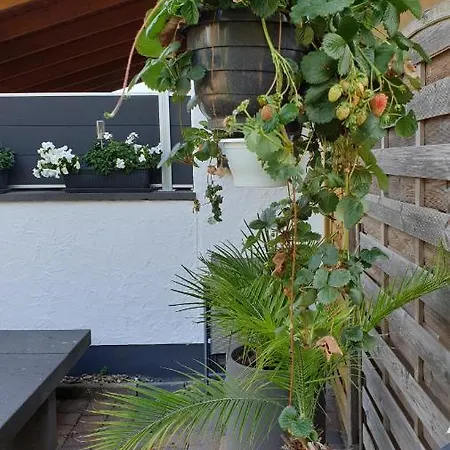 Ferienwohnung Ela 1 Andernach Exterior foto